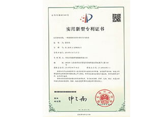 Patent