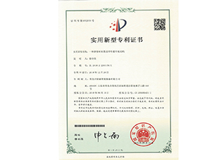 Patent