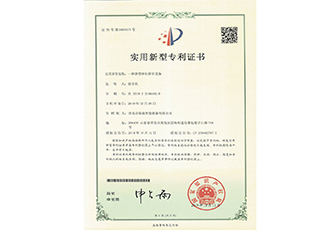 Patent